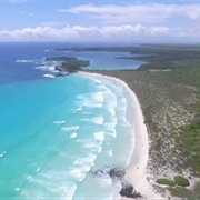 Tortuga Bay, Galápagos Islands