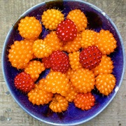 Salmonberries