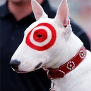 Bullseye (Target)