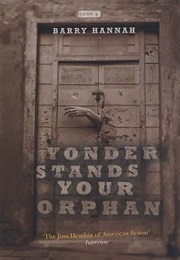 Yonder Stands Your Orphan (Barry Hannah)