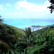 Sage Mountain National Park, BVI