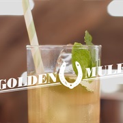 Golden Mule