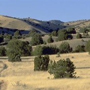 Diamond a Ranch, New Mexico