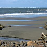 Willapa Bay