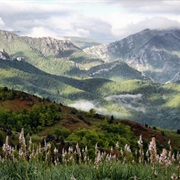 Parque Natural De Redes