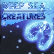Deep Sea Creatures
