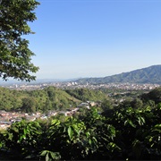 Ibague, Colombia