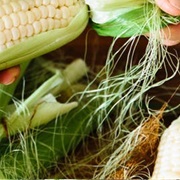 Corn Husks