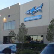 Acrylic Tank Manufacturing-Set of "Tanked" Las Vegas