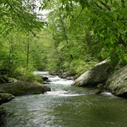Gunpowder Falls State Park