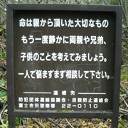 The Forest of the Dead, Japan