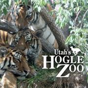 Utah's Hogle Zoo: