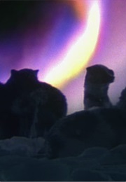 Juichinin No Gang (1963)