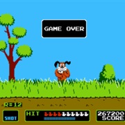 Duck Hunt