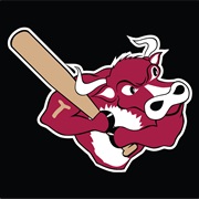 Kansas City T-Bones (IND)