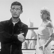 People Are Alike All Over