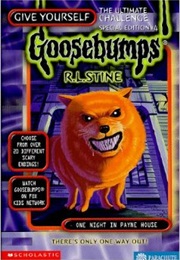 One Night in Payne House (R.L Stine)