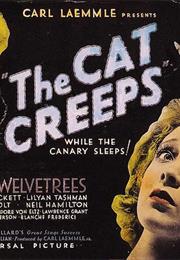 The Cat Creeps