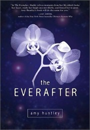 The Everafter (Amy Huntley)