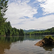 Ike Kinswa State Park, Washington