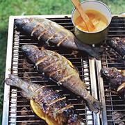 BBQ Fish