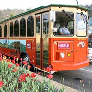 Ride the Gatlinburg Trolley