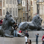 Bronze Lions