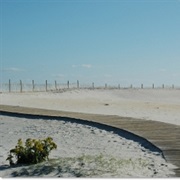 Assateague State Park, Maryland