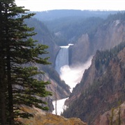 Lower Yellowstone Falls