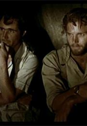 Cinema, Aspirin & Vultures