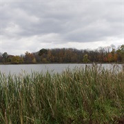 Pickerington Ponds