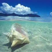 Hawaiian Islands, Hawaii