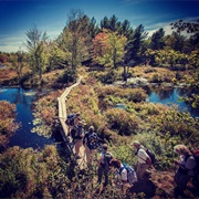 Rideau Trail, ON Canada