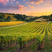South Australian Wine Regions