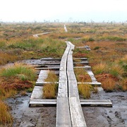 Store Mosse National Park, Sweden