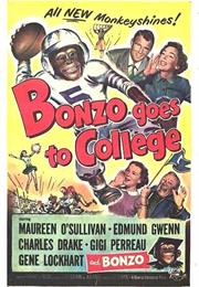 Bonzo Goes to College - Bonzo the Chimp