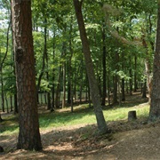 James P. Coleman State Park, Mississippi