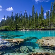 New Caledonia & Deps (L'lle Des Pins, Loyalty Islands)