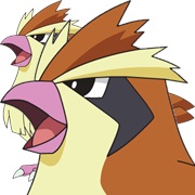 Pidgey