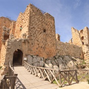 Aljoun Castle