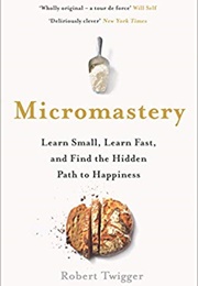 Micromastery (Robert Twigger)