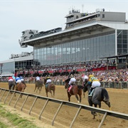 Pimlico Race Course