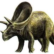 Torosaurus