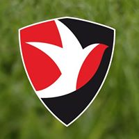 Cheltenham Town FC Official
