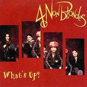 4 Non Blondes - What&#39;s Up?