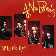 4 Non Blondes - What's Up?