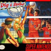 Dig &amp; Spike Volleyball