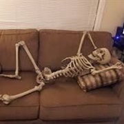 The Longest Time Spent in One Place: 7 Days