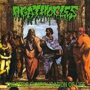 Agathocles Theatric Symbolisation of Life