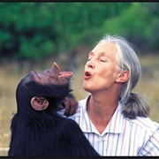 Meet Jane Goodall